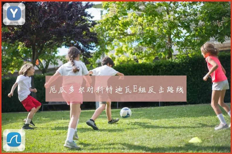 厄瓜多尔对科特迪瓦E组反击路线