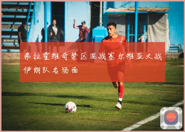 弗拉霍维奇禁区混战塞尔维亚大战伊朗队名场面