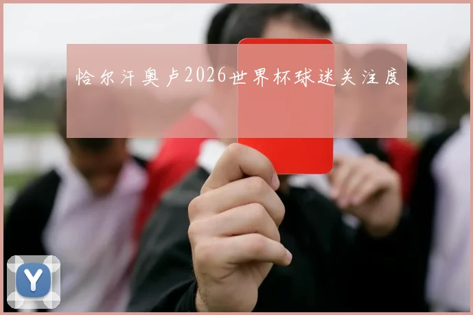 恰尔汗奥卢2026世界杯球迷关注度