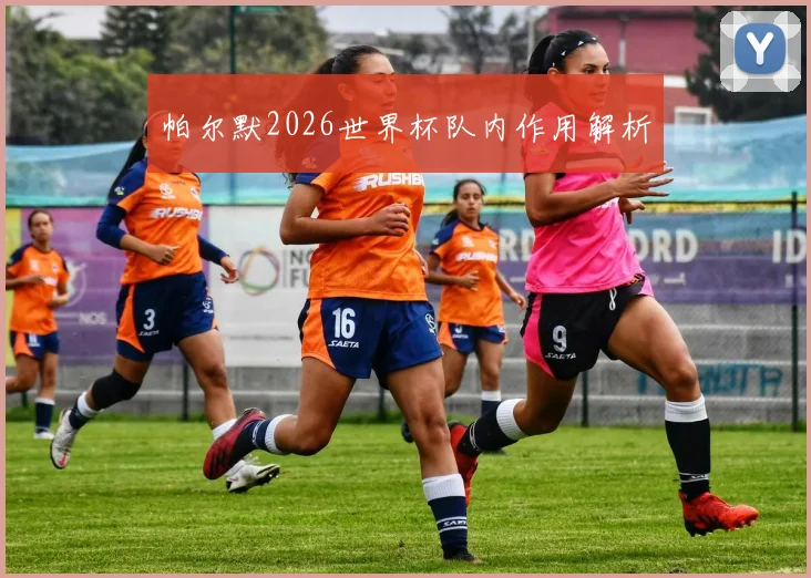 帕尔默2026世界杯队内作用解析