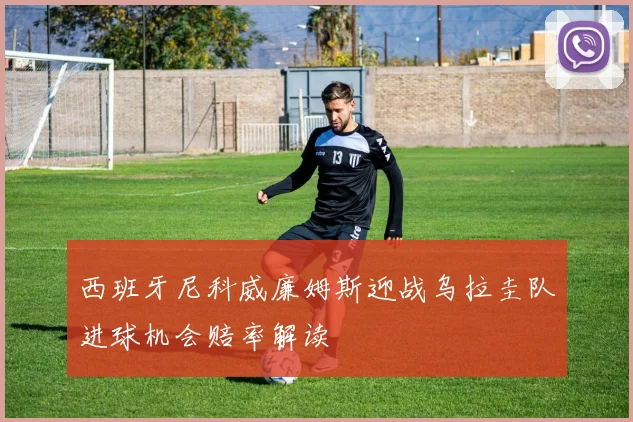 西班牙尼科威廉姆斯迎战乌拉圭队进球机会赔率解读