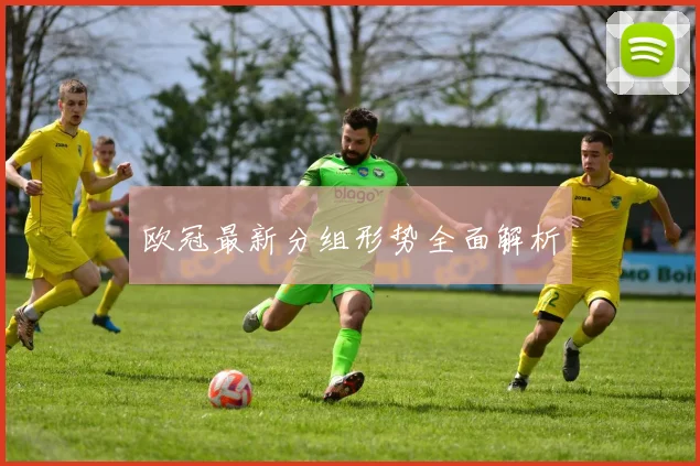 欧冠最新分组形势全面解析
