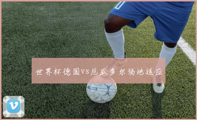 世界杯德国vs厄瓜多尔场地适应