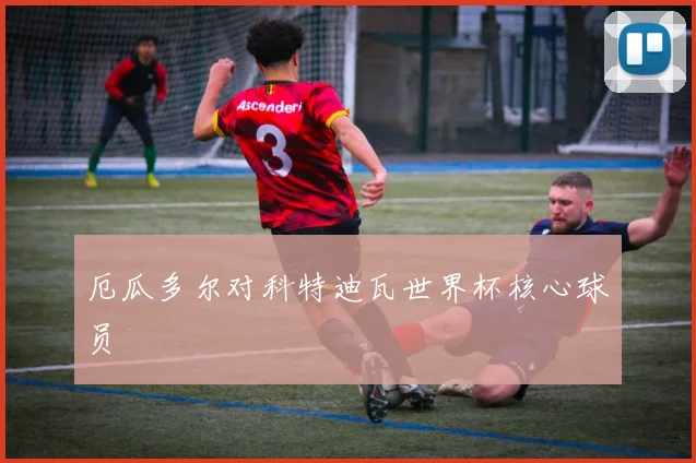 厄瓜多尔对科特迪瓦世界杯核心球员