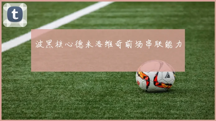 波黑核心德米洛维奇前场串联能力