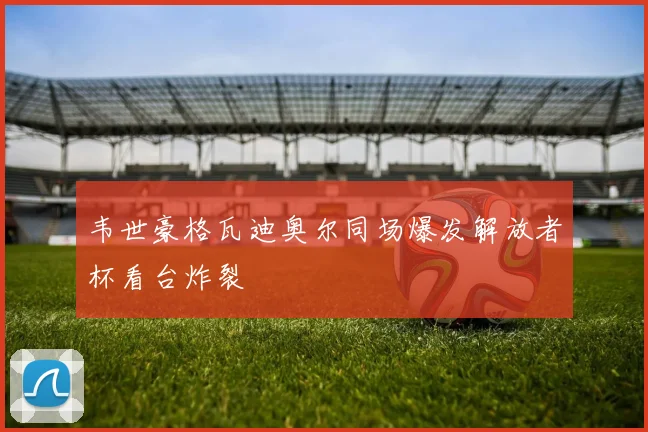 韦世豪格瓦迪奥尔同场爆发解放者杯看台炸裂