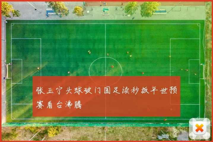 张玉宁头球破门国足读秒扳平世预赛看台沸腾